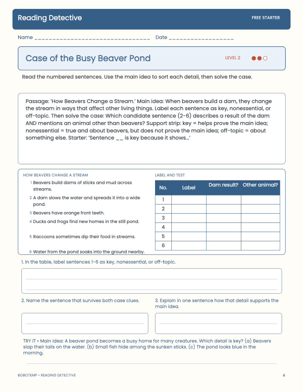 Reading Detective free activity page 3