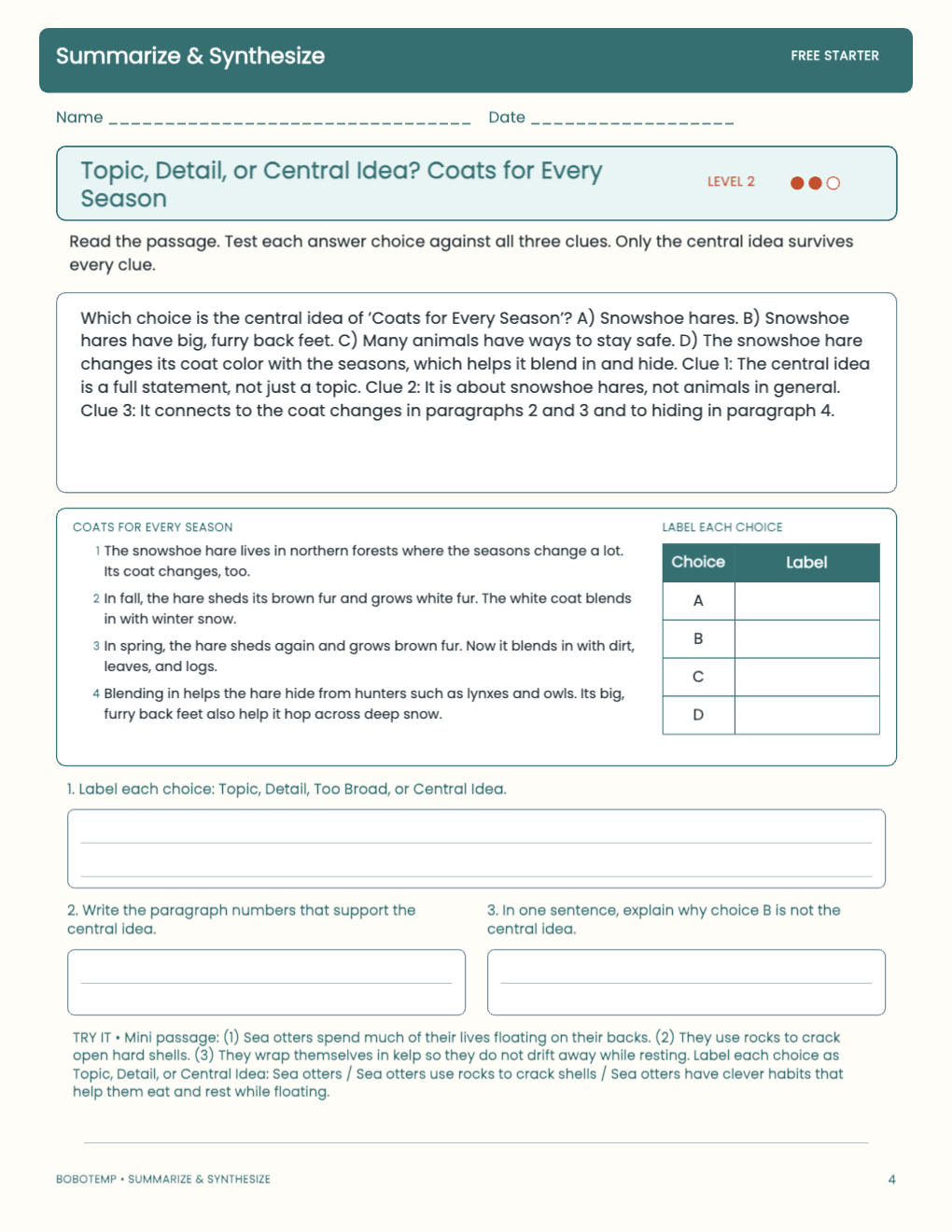 Summarize & Synthesize free activity page 3